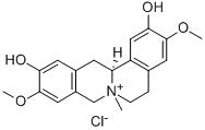 Phellodendrine chloride